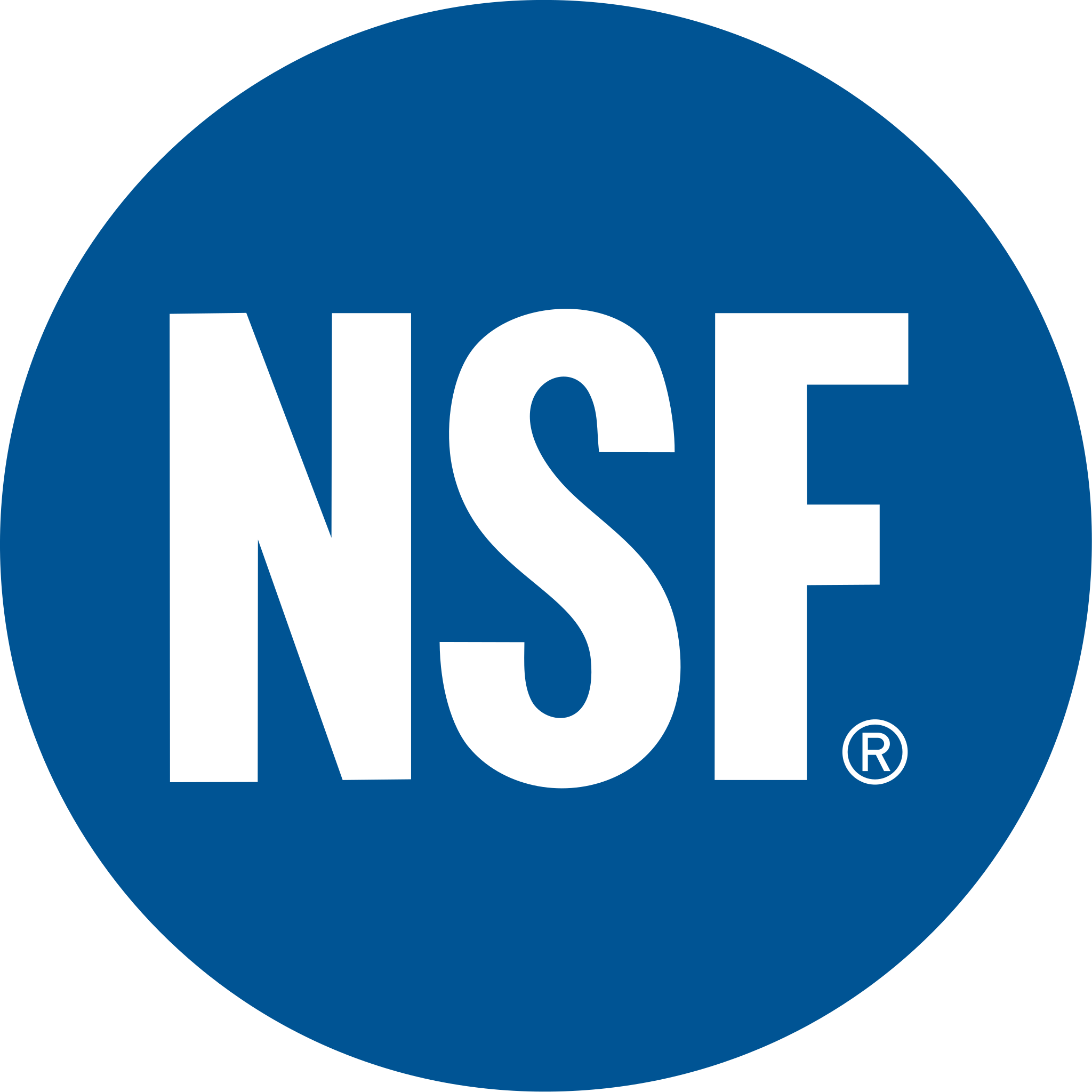 Logo NSF